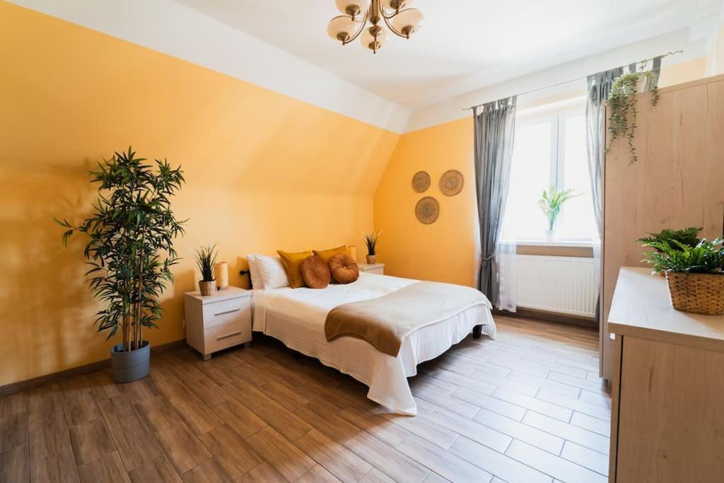 Market Square - Street Rynek 24 -2 Rooms Breslavia Esterno foto