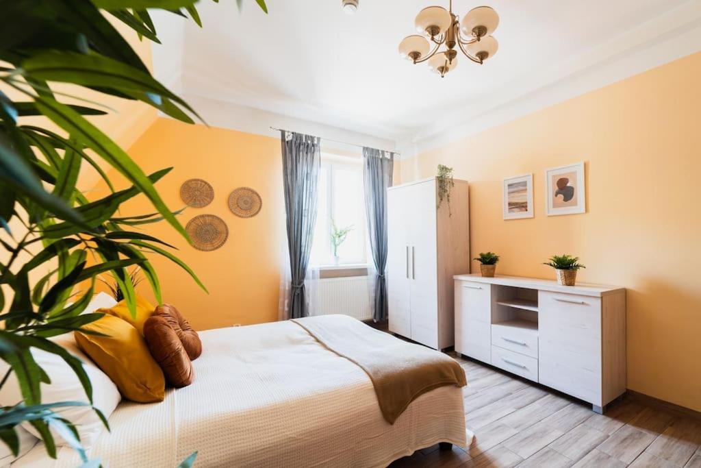 Market Square - Street Rynek 24 -2 Rooms Breslavia Esterno foto